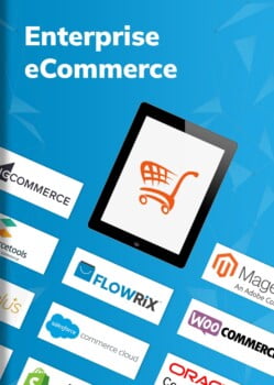 Enterprise-eCommerce-01